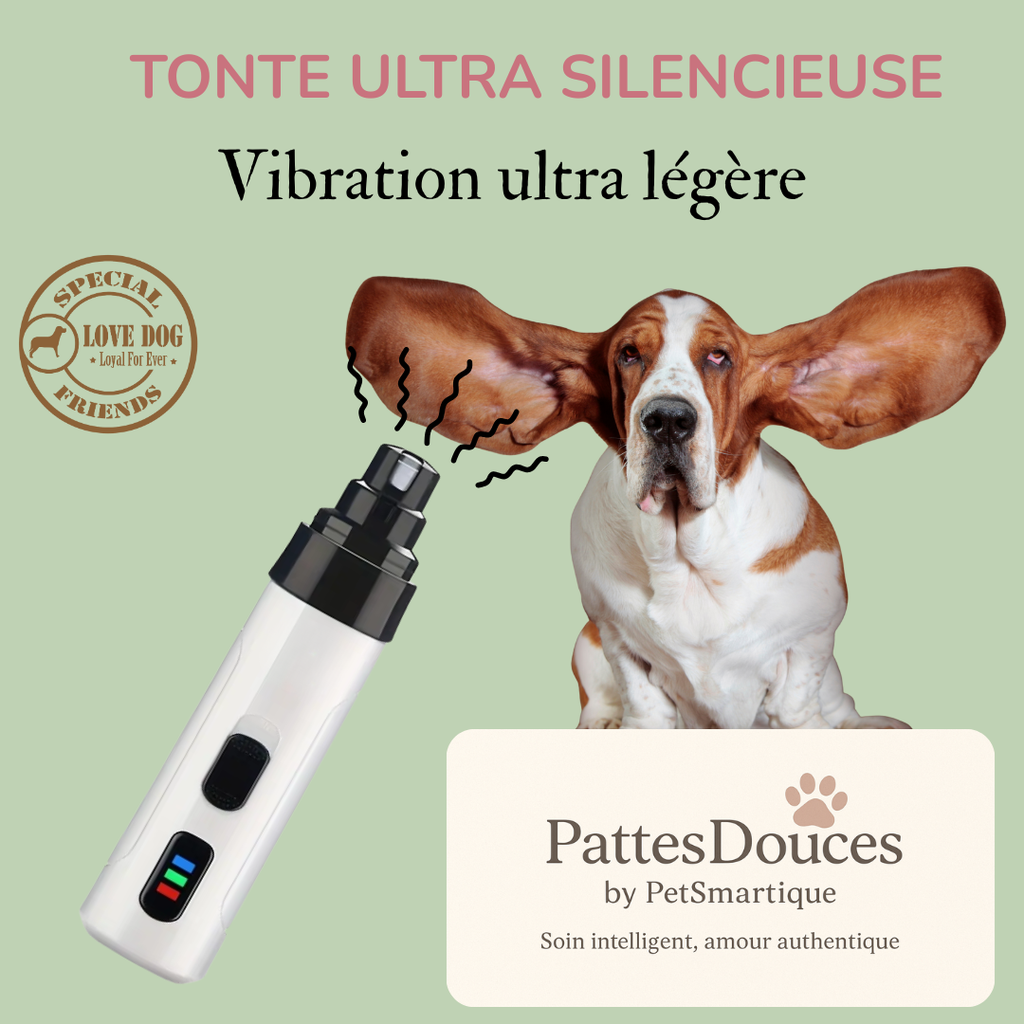 PetSmartique™: Le soin intelligent, né du cœur 💗