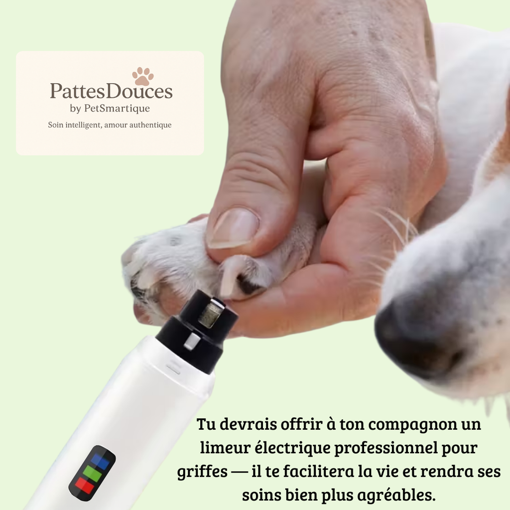 PetSmartique™: Le soin intelligent, né du cœur 💗