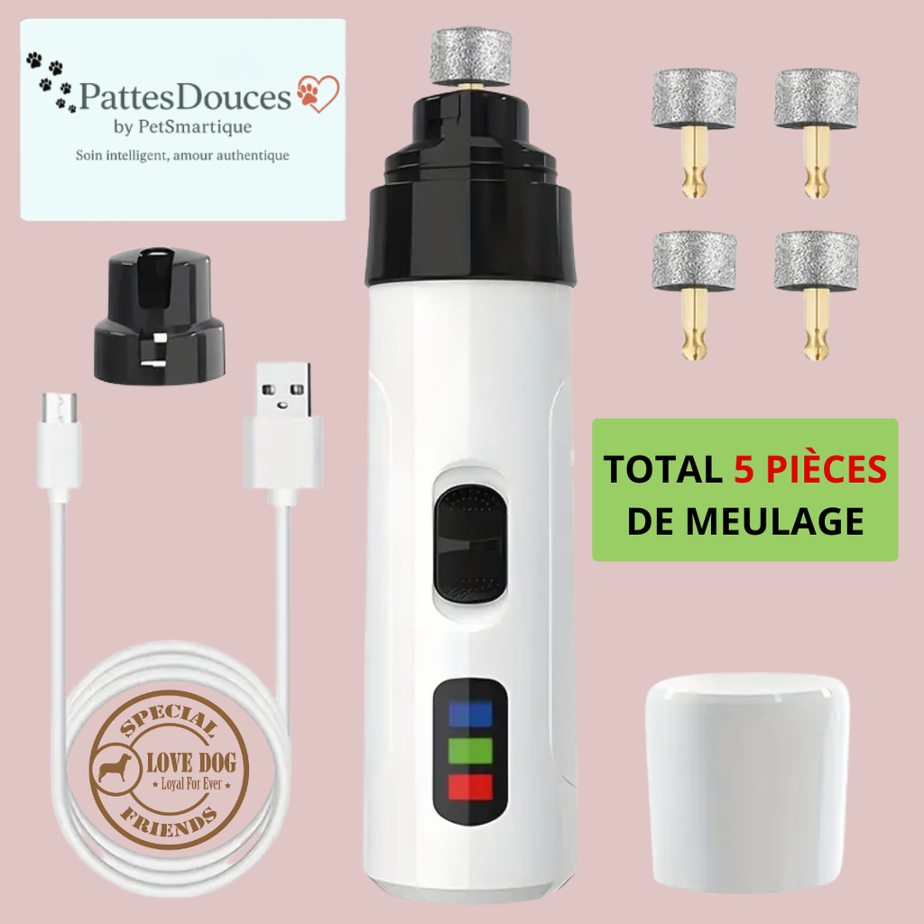 PetSmartique™: Le soin intelligent, né du cœur 💗