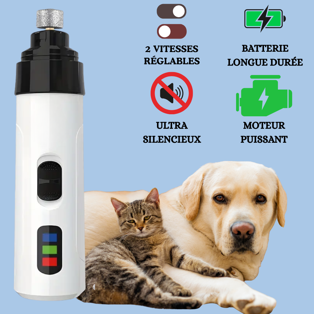 PetSmartique™: Le soin intelligent, né du cœur 💗