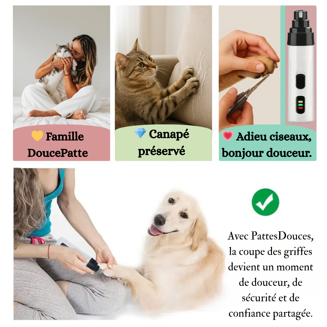 PetSmartique™: Le soin intelligent, né du cœur 💗