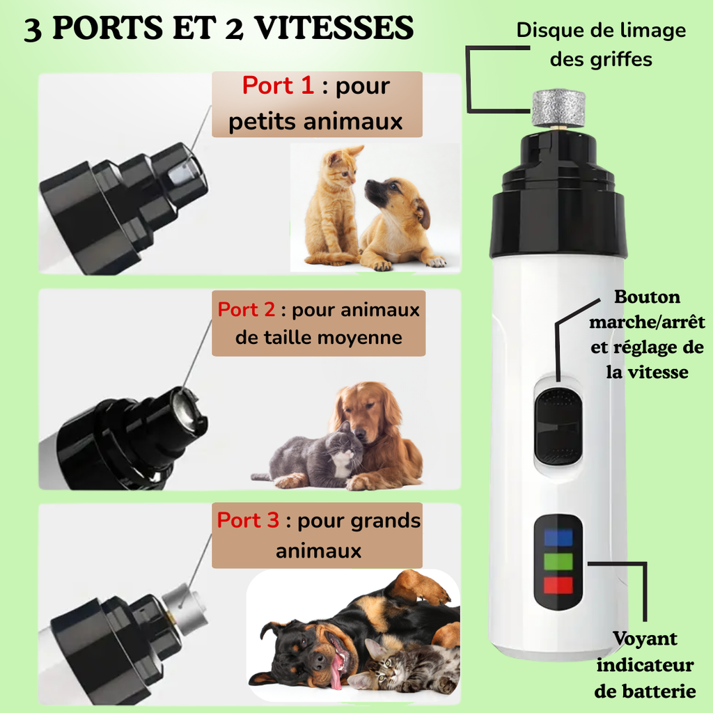 PetSmartique™: Le soin intelligent, né du cœur 💗