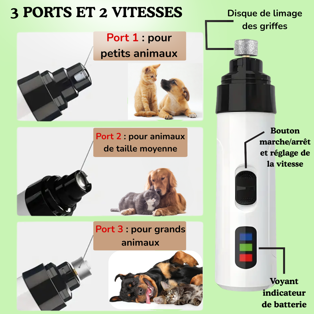 PetSmartique™: Le soin intelligent, né du cœur 💗