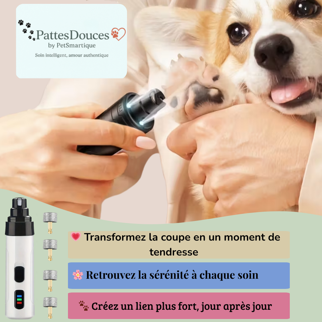 PetSmartique™: Le soin intelligent, né du cœur 💗