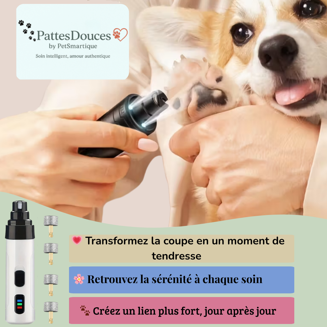 PetSmartique™: Le soin intelligent, né du cœur 💗
